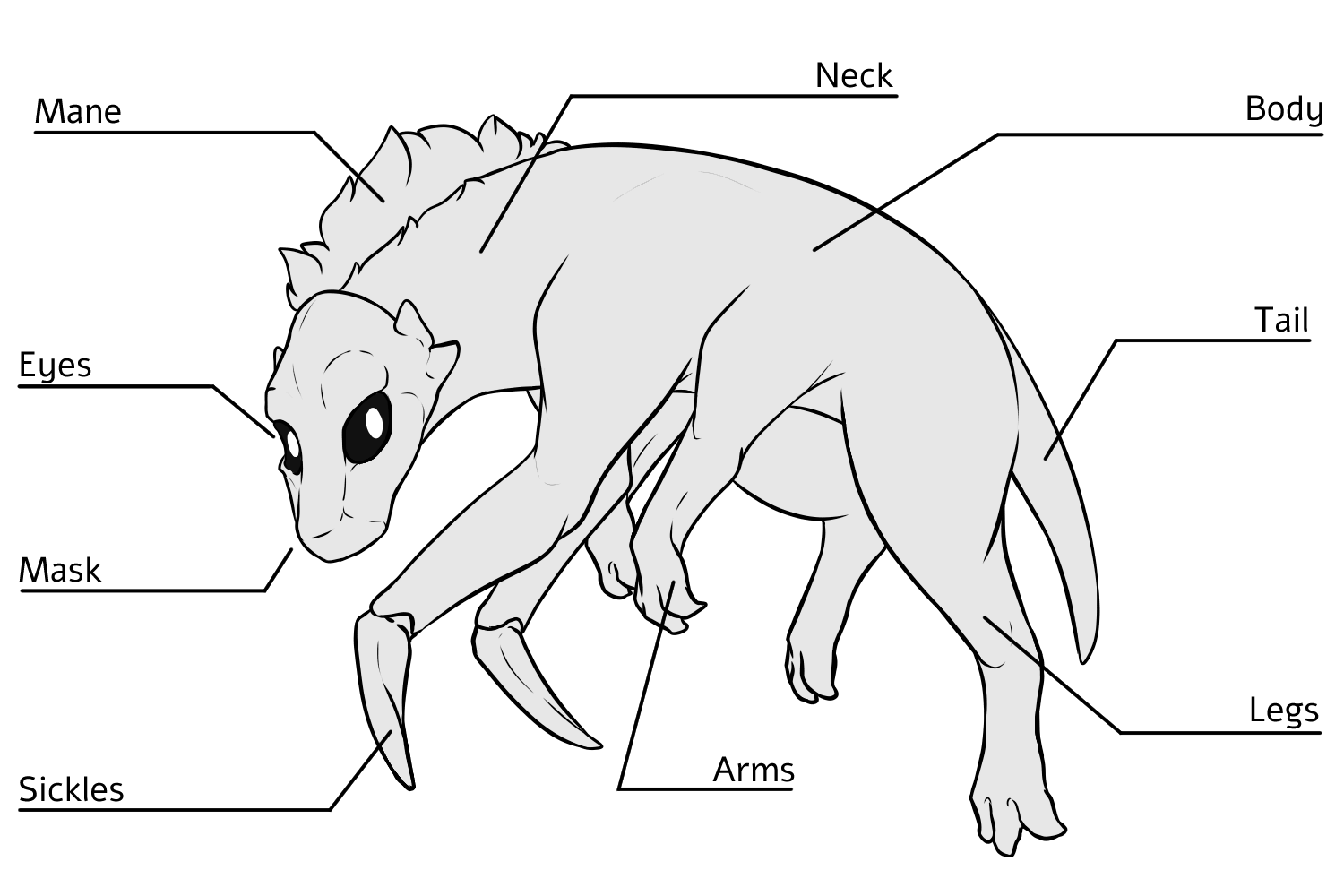 Creopan anatomy diagram
